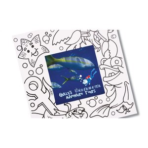 Additional Image 1 - a blue square with a white border