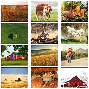 Additional Image 1 - a collage of images of different types of fields