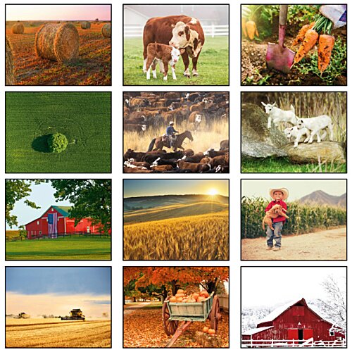 Additional Image 1 - a collage of images of different types of fields