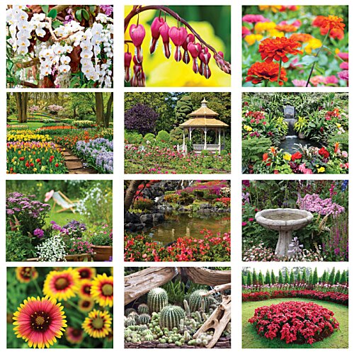 Additional Image 1 - a collage of a garden