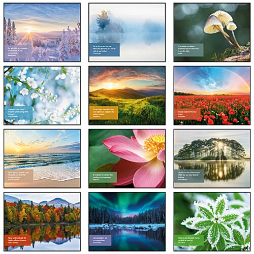 Additional Image 1 - a collage of images