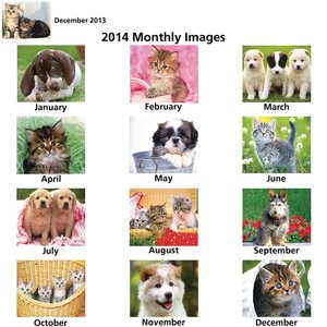 Additional Image 1 - a screenshot of a cell phone