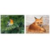 Additional Thumbnail Image 8 - a collage of animals