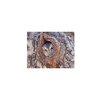 Additional Thumbnail Image 7 - a close up of a brown object