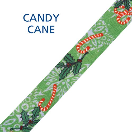 Additional Image 8 - a green ribbon with red and orange designs