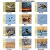 View Image 2 of 2 of Ducks Unlimited Calendar