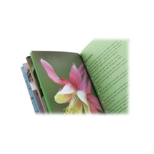 Additional Image 1 - a close up of a laptop