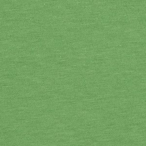 Additional Image 2 - a green wall with a white stripe