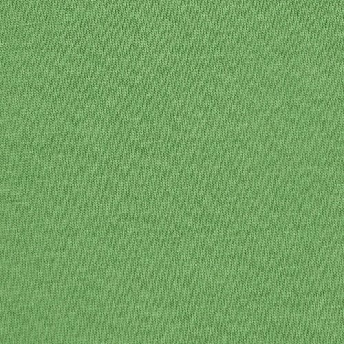 Additional Image 2 - a green wall with a white stripe