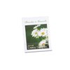Additional Thumbnail Image 1 - a picture of a plant