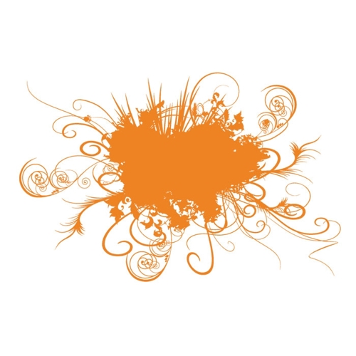 Additional Image 3 - an orange logo with swirls