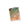 View Image 2 of 2 of Oxo-Biodegradable Litter Bag - 12" x 9" - Full Color