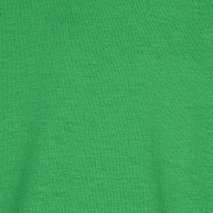 Additional Image 2 - a green shirt with a white logo