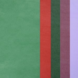 Additional Image 4 - a red stripe on a green background