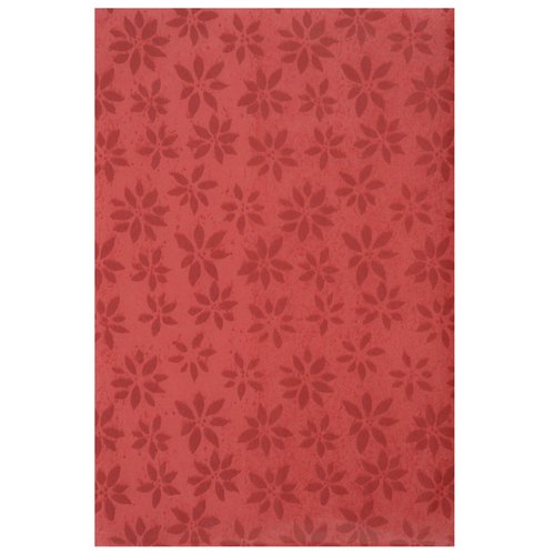 Additional Image 1 - a red rectangular object with white border