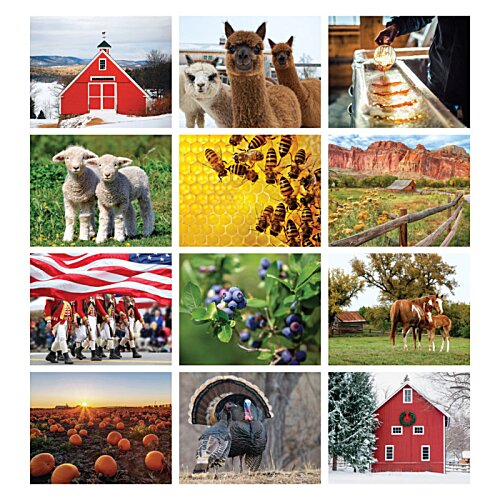 Additional Image 1 - a collage of images of different types of buildings