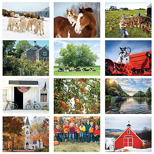 Additional Image 1 - a collage of images of different types of buildings