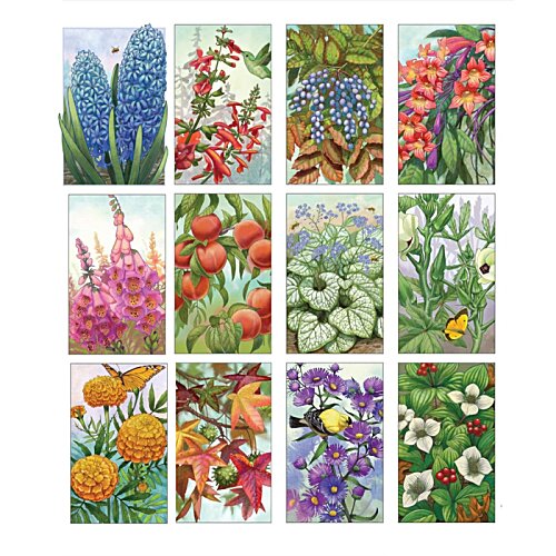Additional Image 1 - a collage of different flowers