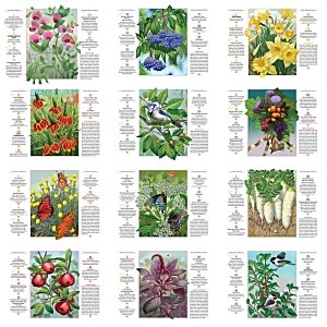 Additional Image 1 - a collage of different flowers