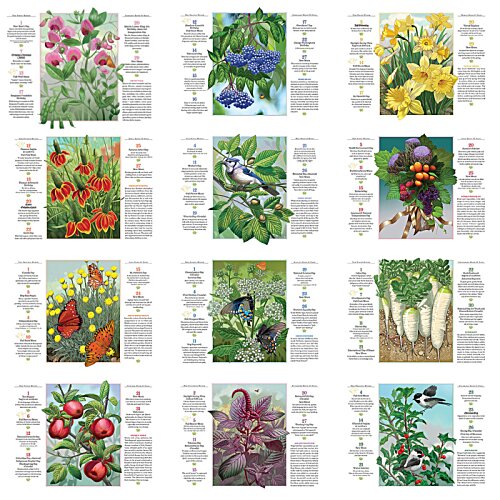 Additional Image 1 - a collage of different flowers