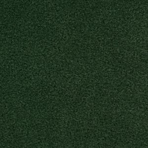 Additional Image 2 - a green surface with white spots