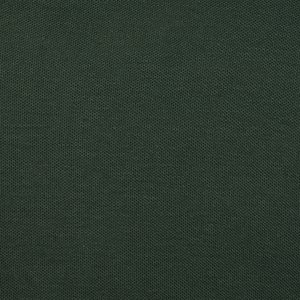 Additional Image 1 - a green wall with white text