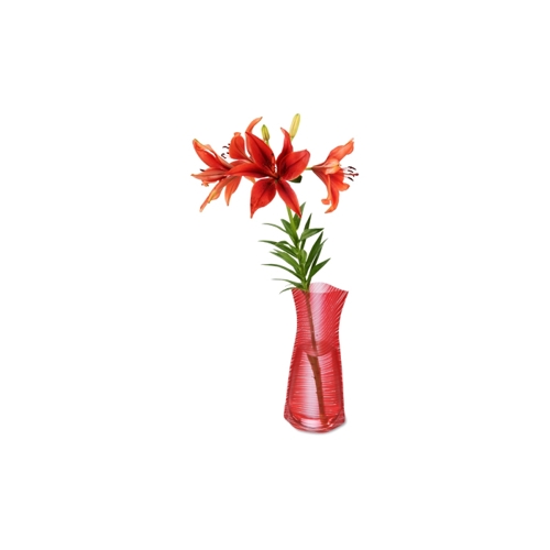 Additional Image 3 - a red flower in a vase