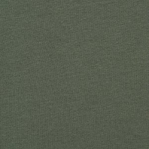 Additional Image 1 - a green wall with a white border