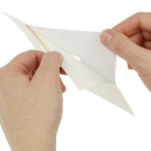Additional Image 2 - a person holding a paper airplane