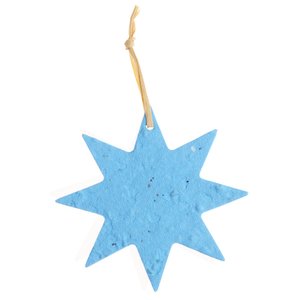 Additional Image 2 - a blue star on a white background