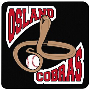 Additional Image 1 - a logo of a baseball team