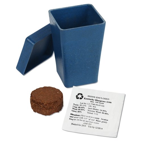 Additional Image 3 - a blue box with a lid and a brown cookie