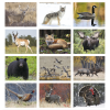 View Image 2 of 3 of Wildlife Portraits Calendar - Window