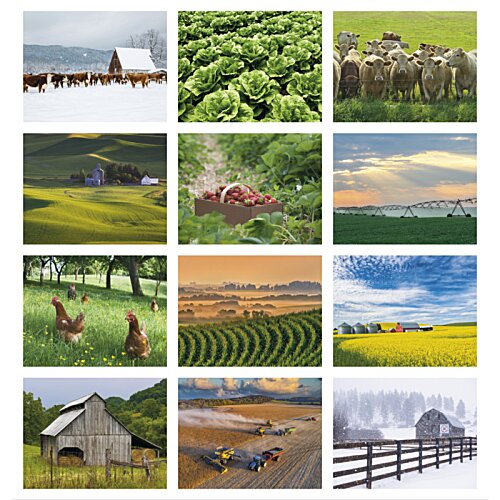 Additional Image 1 - a collage of images
