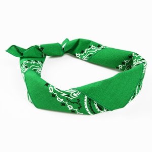 Additional Image 2 - a green bandana on a white background