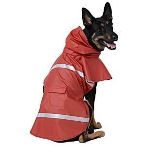 Additional Image 2 - a dog wearing a red coat