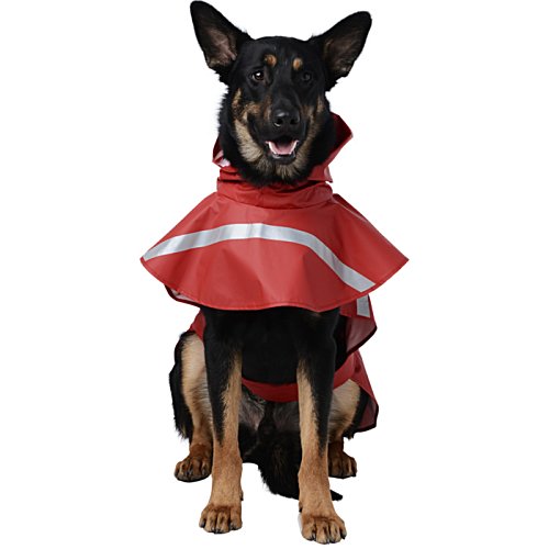 Additional Image 3 - a dog wearing a red raincoat