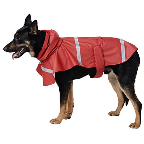Additional Image 4 - a dog wearing a red vest