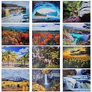 Additional Image 3 - a collage of images