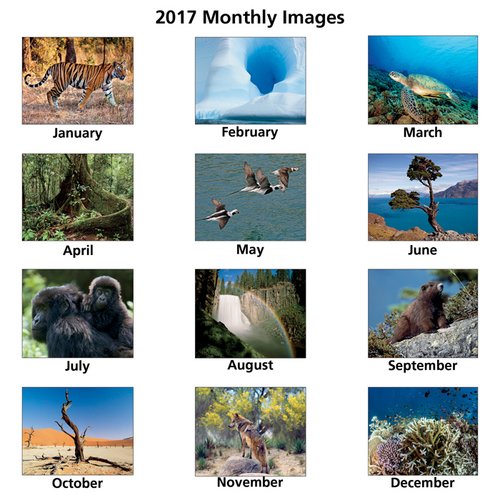 Additional Image 1 - a collage of images