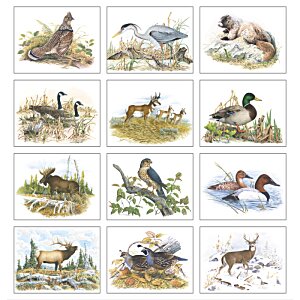 Additional Image 1 - a collage of animals