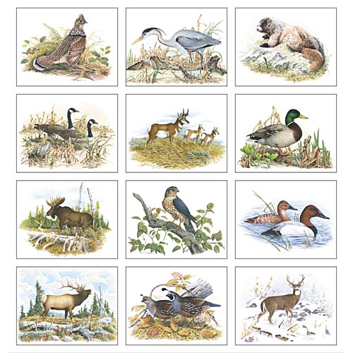 Additional Image 1 - a collage of animals