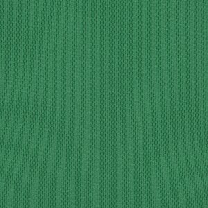 Additional Image 2 - a green surface with a white spot