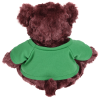 Additional Thumbnail Image 1 - a stuffed bear wearing a green shirt