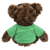 Additional Thumbnail Image 1 - a stuffed bear wearing a green shirt