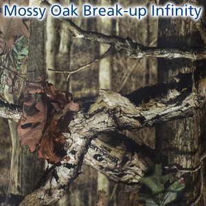 Additional Image 2 - a close up of a tree