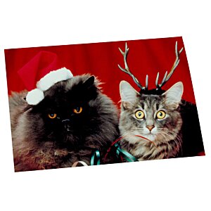 Additional Image 2 - a cat with a hat on