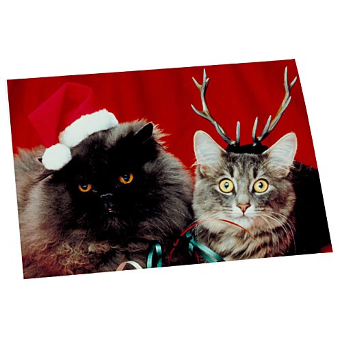 Additional Image 2 - a cat with a hat on