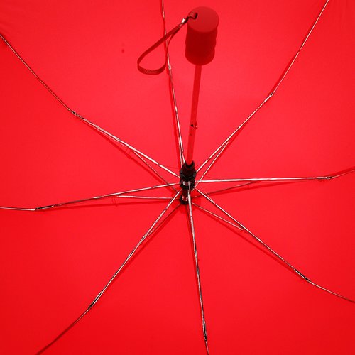 Additional Image 1 - a spider on a red umbrella