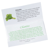 View Image 2 of 2 of Matchbook Seed Packet - Cilantro